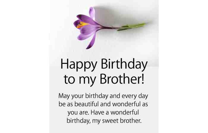 Birthday Wishes for Brother in English (2)