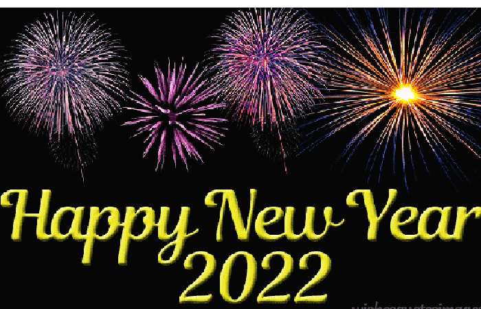 Happy New Year 2022 GIF (1)