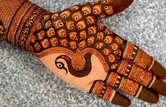 Royal Front Hand Mehndi Design (1)