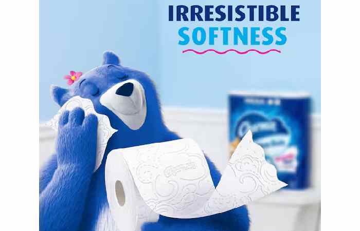 Charmin Ultra Soft Mega Bathroom Tissue 18 Rolls 030772014509 (1)