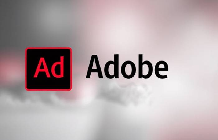 Adobe Dfinition or Define Adobe