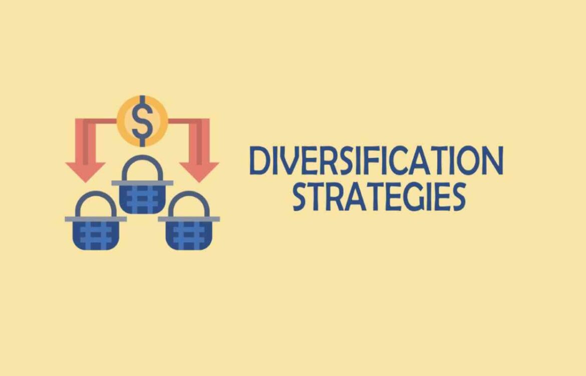 What is a Diversification Strategy?