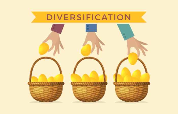 What are the types of diversification strategies?